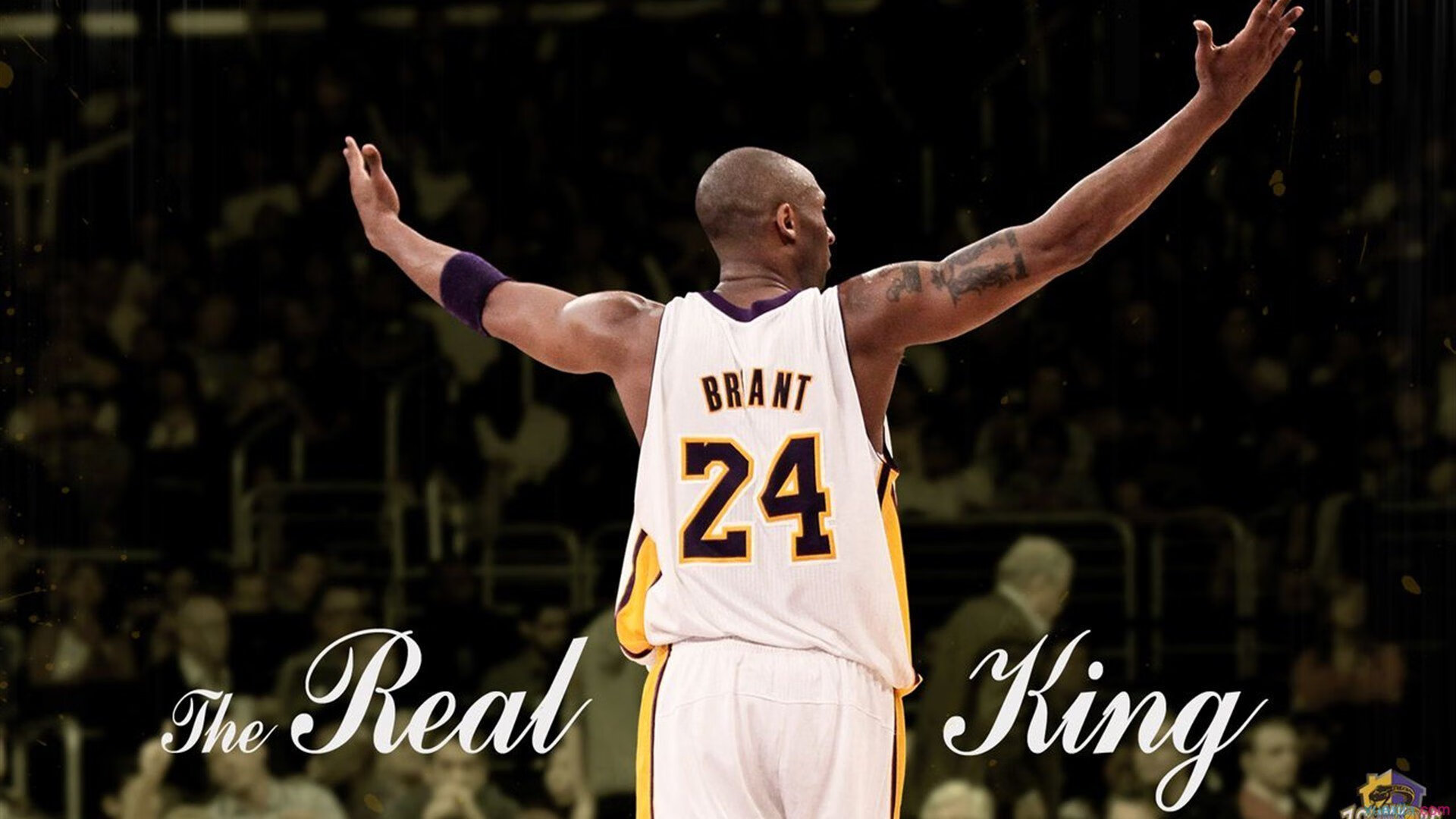 半决赛前瞻：阿根廷迎战荷兰，阿根廷对荷兰集锦